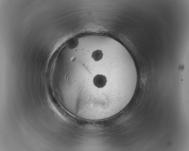 X0000114020630200910231837