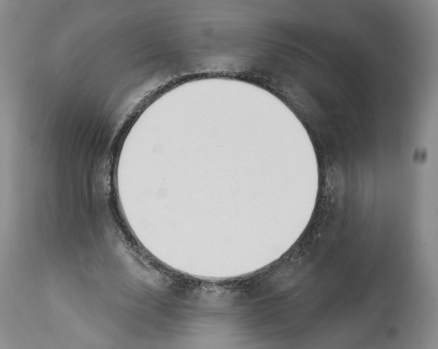 X0000114020632200910231837