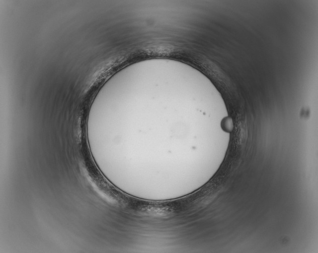 X0000114020638200910231837