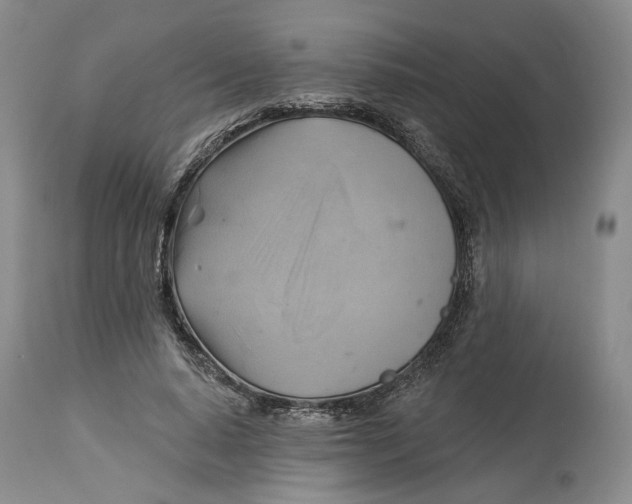 X0000114020640200910231837