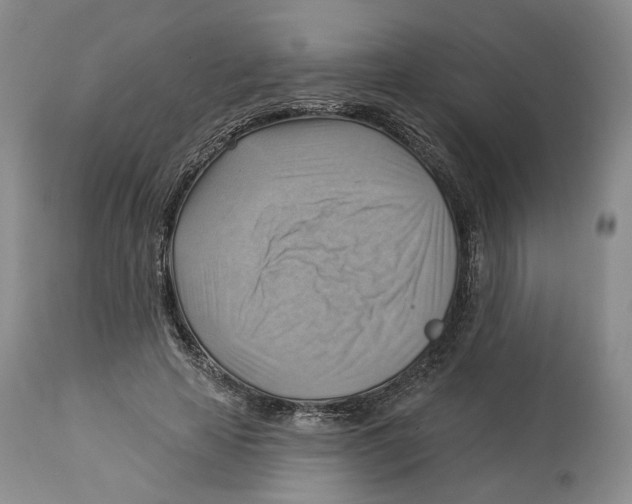 X0000114020641200910231837