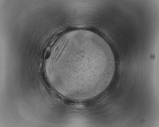 X0000114020643200910231837