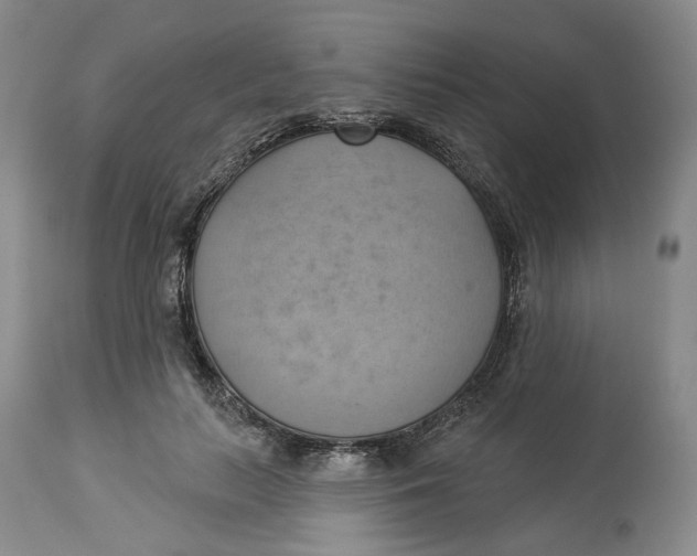 X0000114020647200910231838