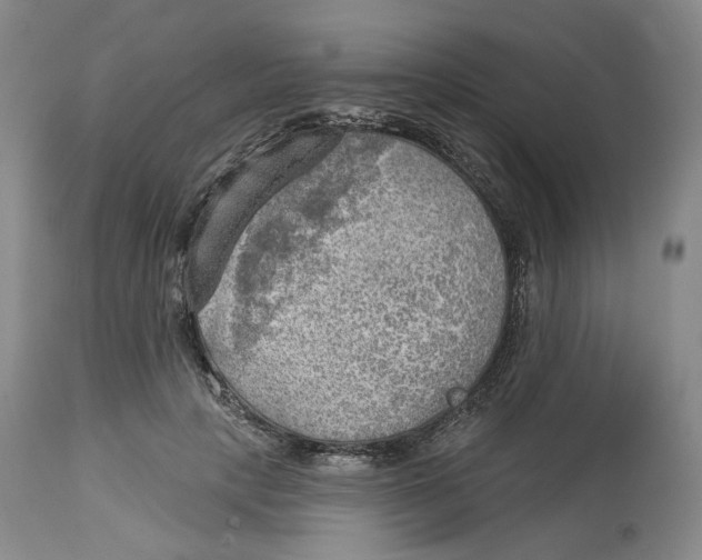 X0000114020649200910231838