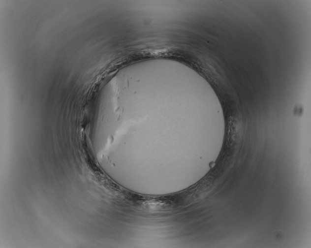 X0000114020650200910231838