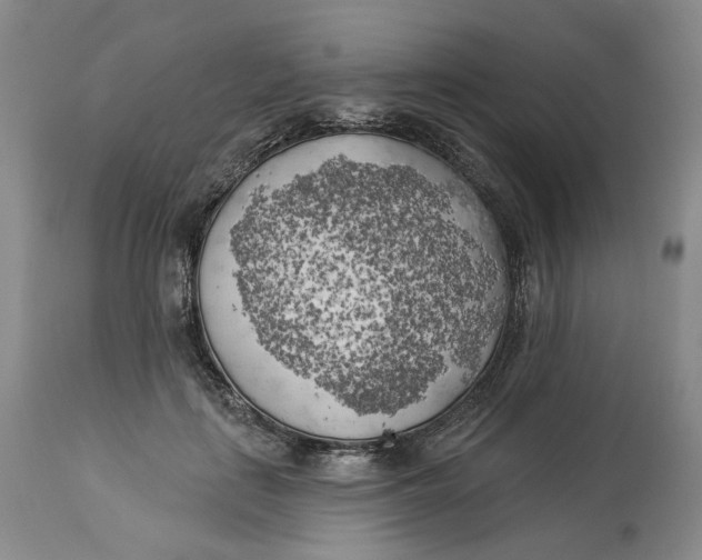 X0000114020651200910231838