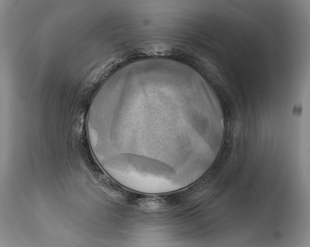 X0000114020652200910231838