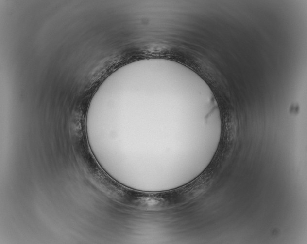 X0000114020654200910231838