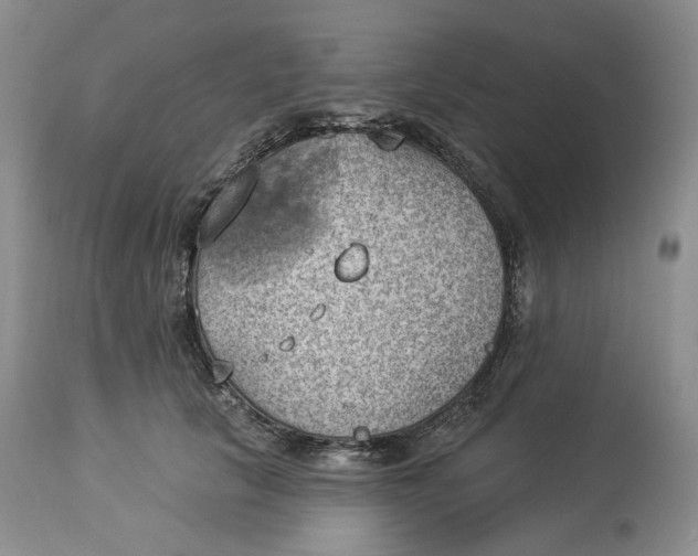 X0000114020657200910231838