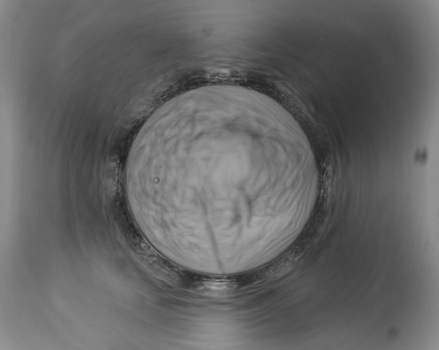 X0000114020659200910231838