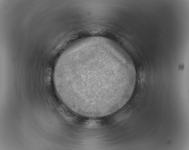 X0000114020664200910231838