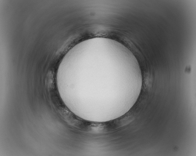 X0000114020667200910231838