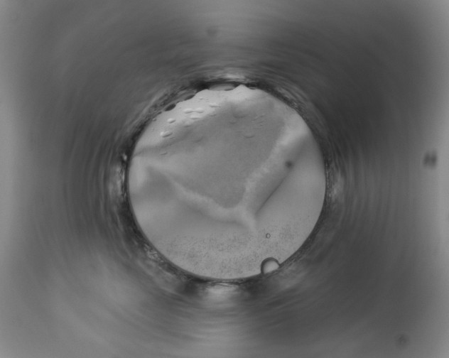 X0000114020669200910231838