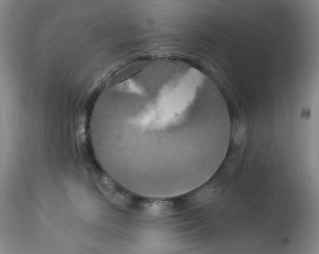 X0000114020670200910231838