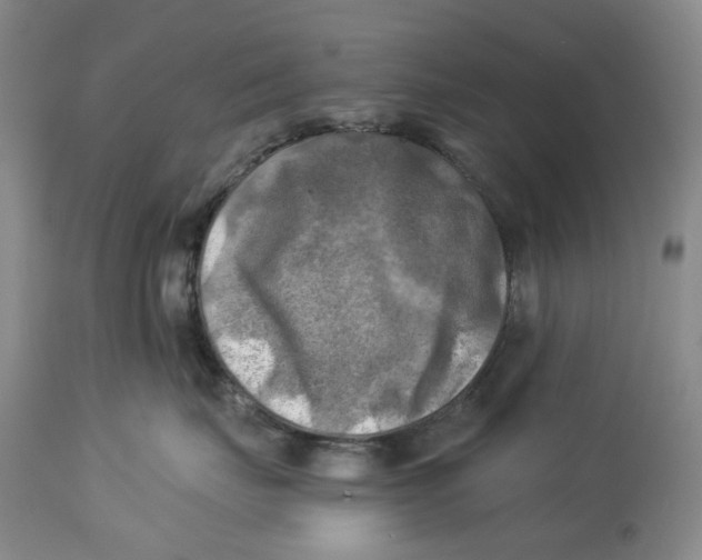 X0000114020671200910231838