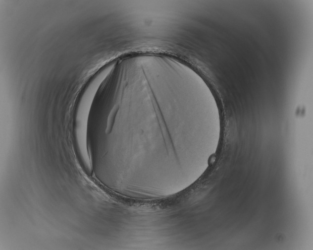 X0000114020673200910231837