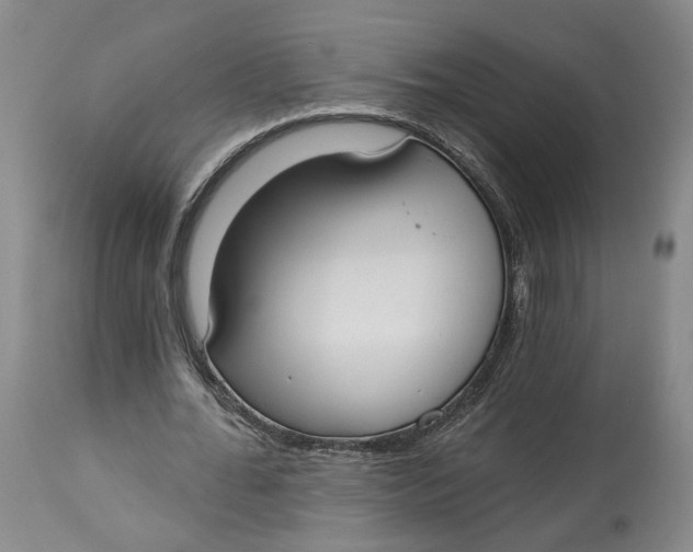 X0000114020676200910231837