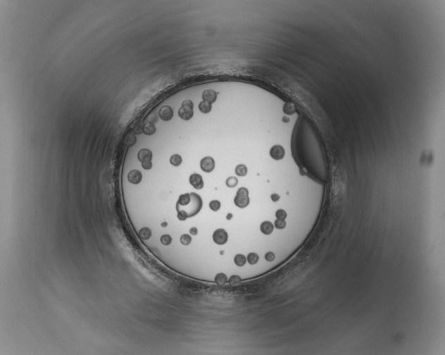 X0000114020677200910231837