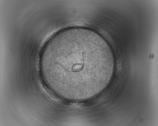 X0000114020680200910231837