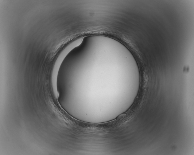 X0000114020681200910231837