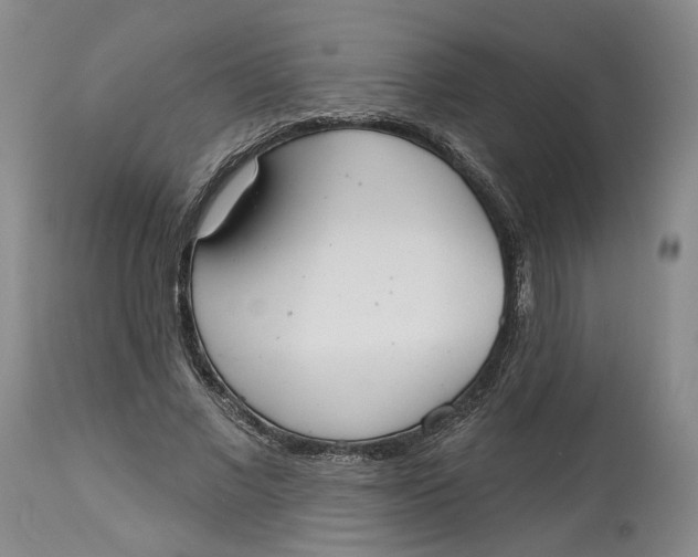 X0000114020685200910231837