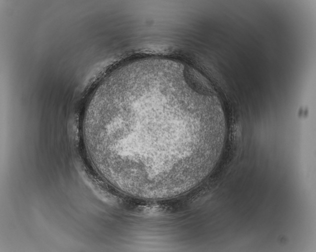 X0000114020688200910231837