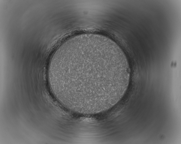 X0000114020689200910231837