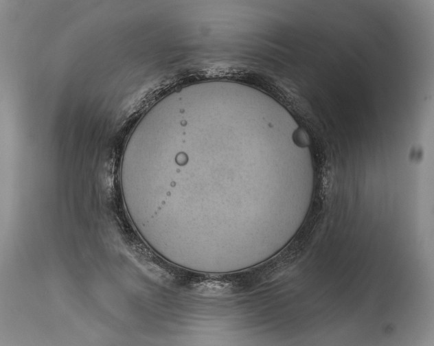 X0000114020691200910231837