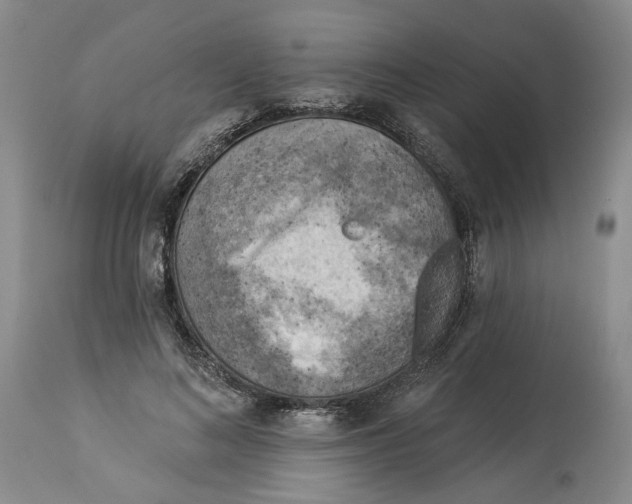 X0000114020692200910231837