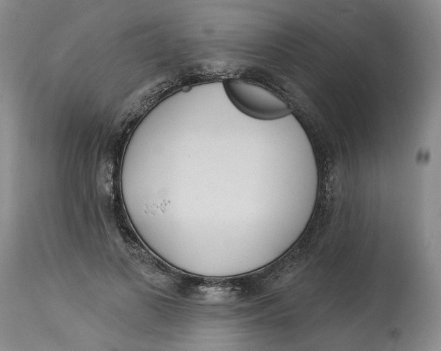 X0000114020693200910231837