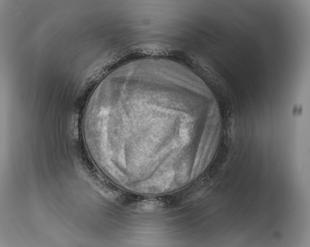 X0000114020696200910231837