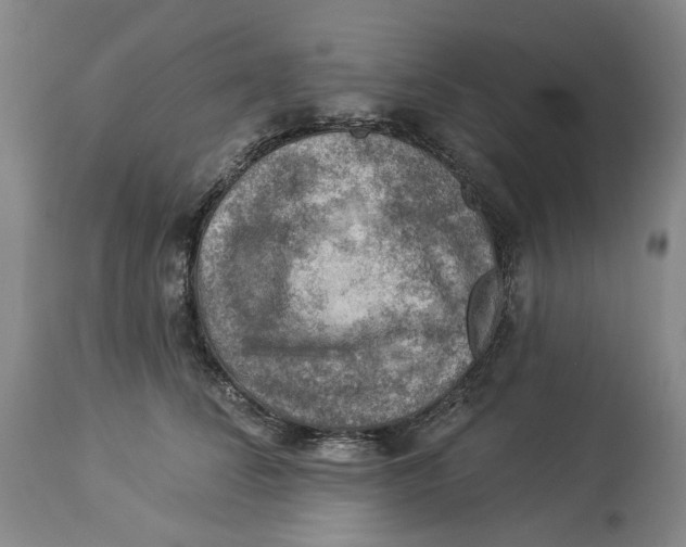 X0000114020708200910231837