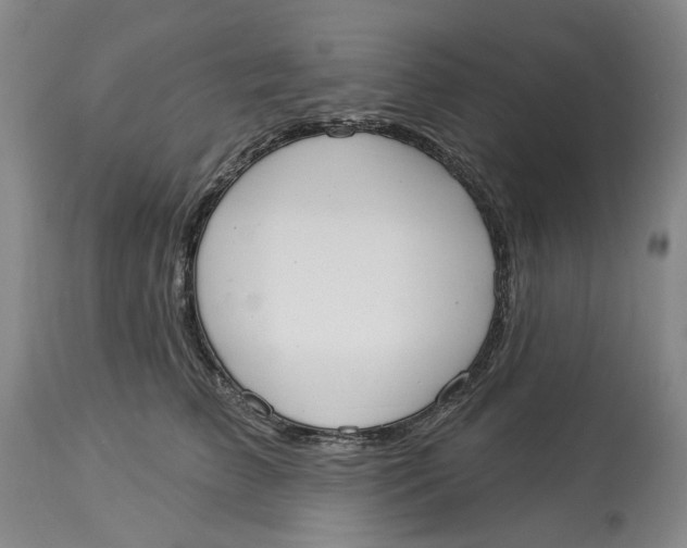 X0000114020709200910231837