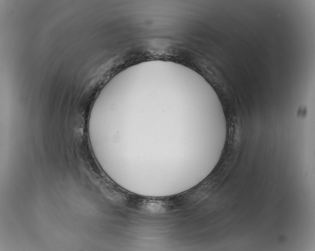 X0000114020710200910231837