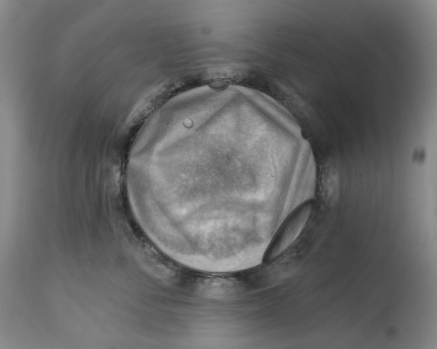 X0000114020716200910231837