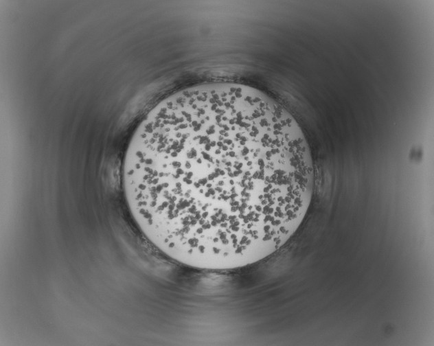 X0000114020718200910231837