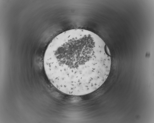 X0000114020719200910231837