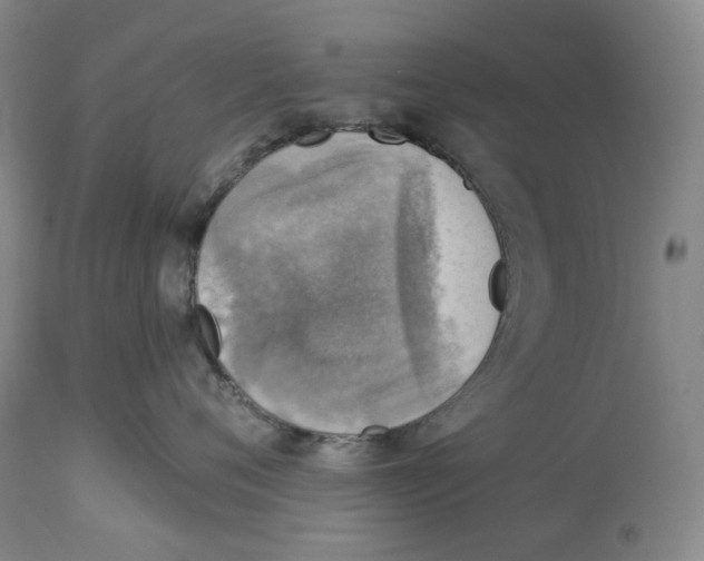 X0000114020720200910231837