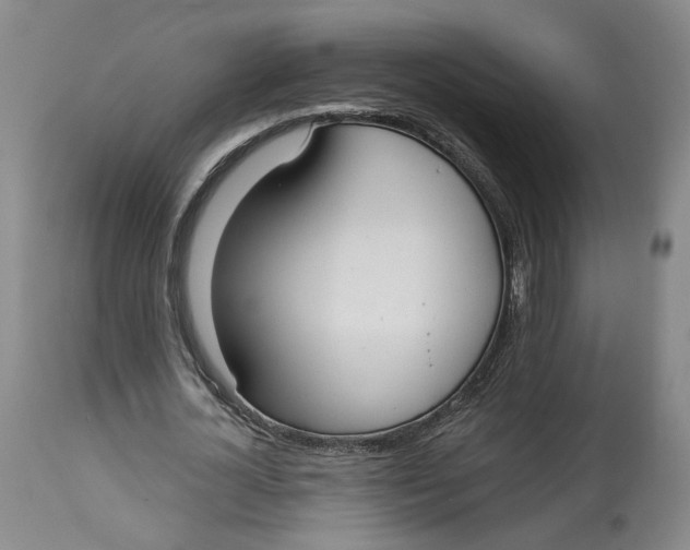 X0000114020724200910231836