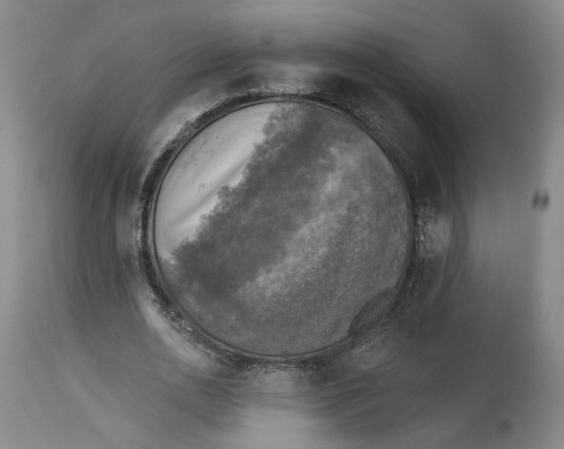 X0000114020726200910231836