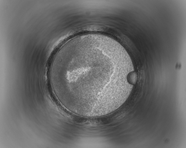 X0000114020727200910231836