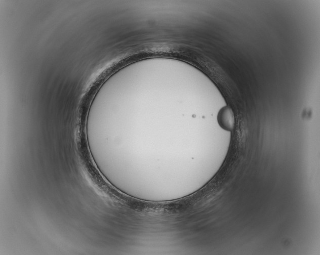 X0000114020728200910231836