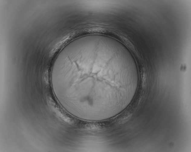 X0000114020729200910231836