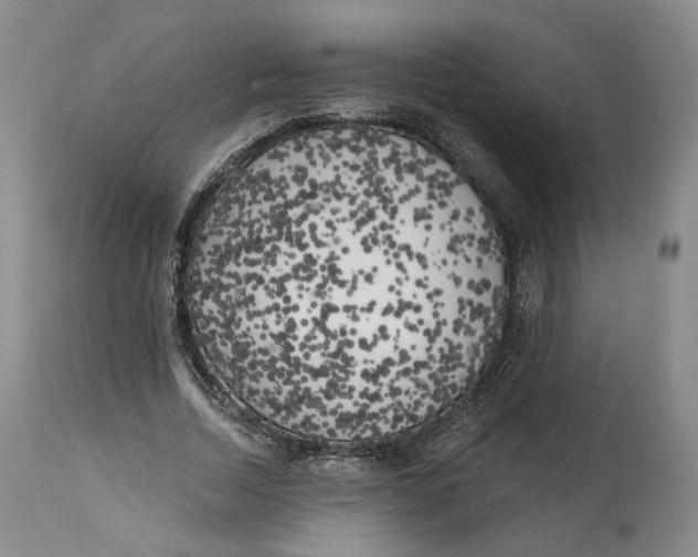 X0000114020730200910231836