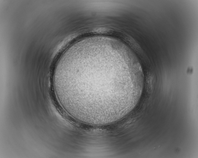 X0000114020734200910231836