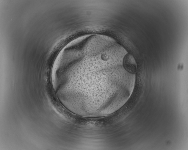 X0000114020736200910231836