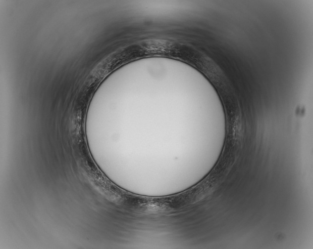 X0000114020737200910231836