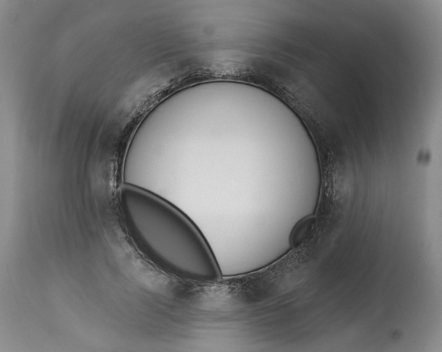 X0000114020740200910231836