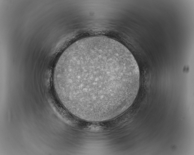 X0000114020742200910231836