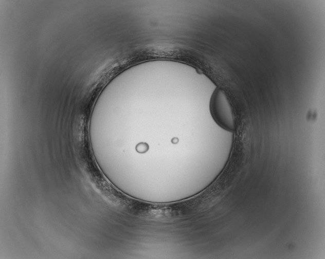 X0000114020744200910231836